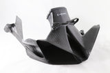 Ducati Panigale V4RS F19 Carbon Fiber Air Intake Channel