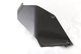 Ducati Panigale V4RS F19 Carbon Fiber Left Tank Cover