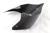 Ducati Panigale V4RS F19 Carbon Fiber Rear Tail Section